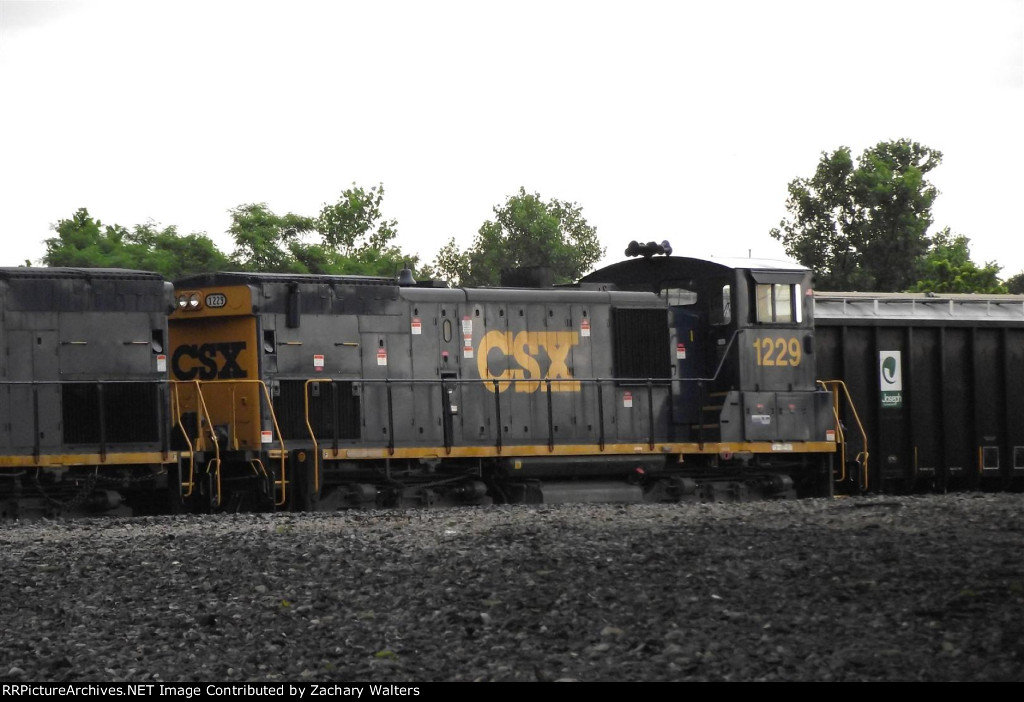 CSX 1229